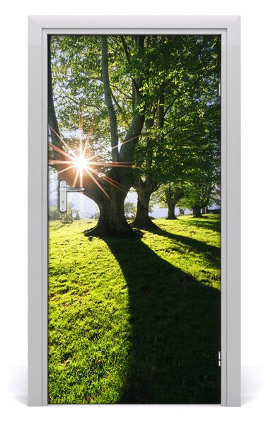 Naklejka fototapeta na drzwi Krajobrazy Park