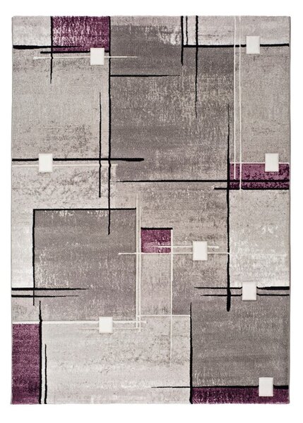Szaro-fioletowy dywan Universal Detroit, 160x230 cm