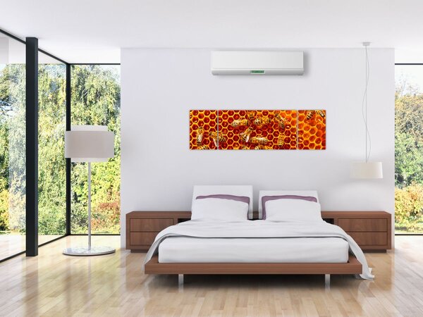 Obraz - Plaster miodu (170x50 cm)