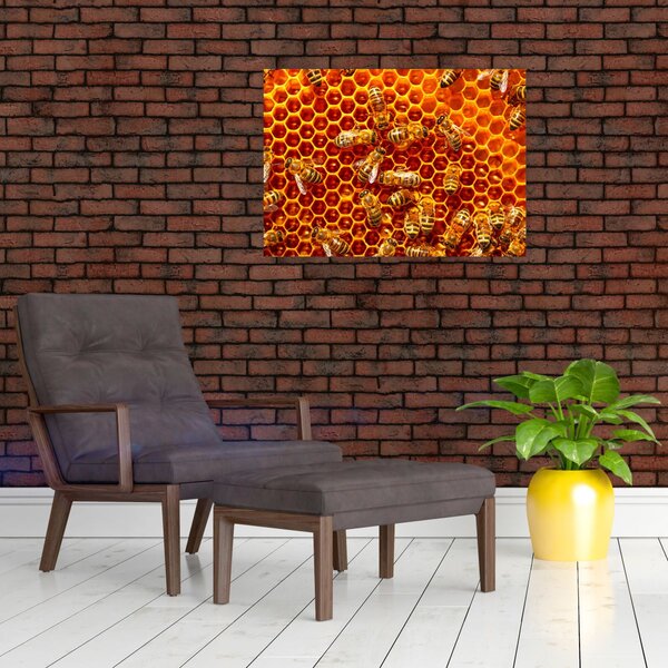 Obraz - Plaster miodu (70x50 cm)