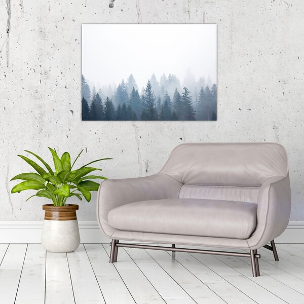 Obraz - Mglisty las (70x50 cm)