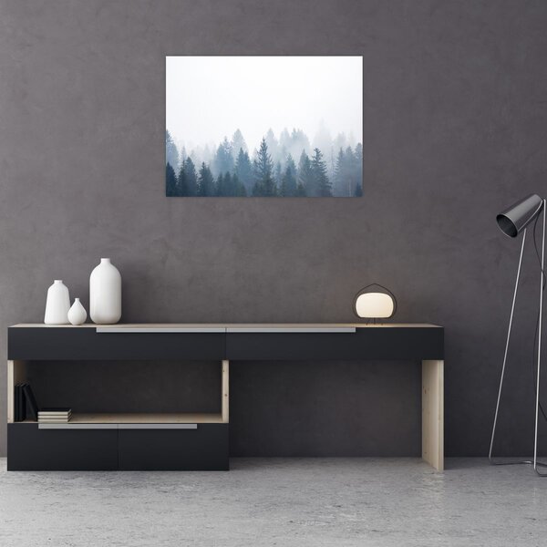 Obraz - Mglisty las (70x50 cm)