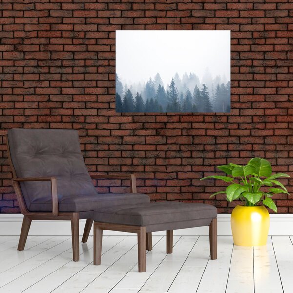 Obraz - Mglisty las (70x50 cm)