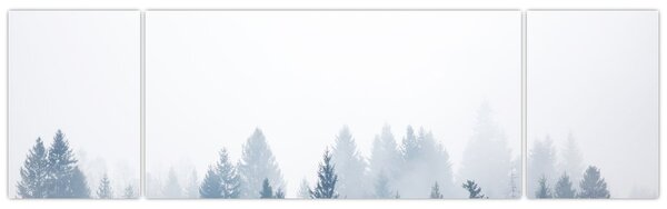 Obraz - Mglisty las (170x50 cm)
