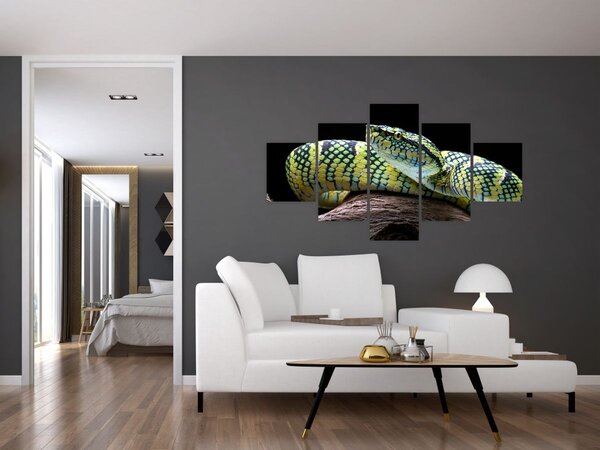 Obraz - Grzechotnik Waglera (125x70 cm)