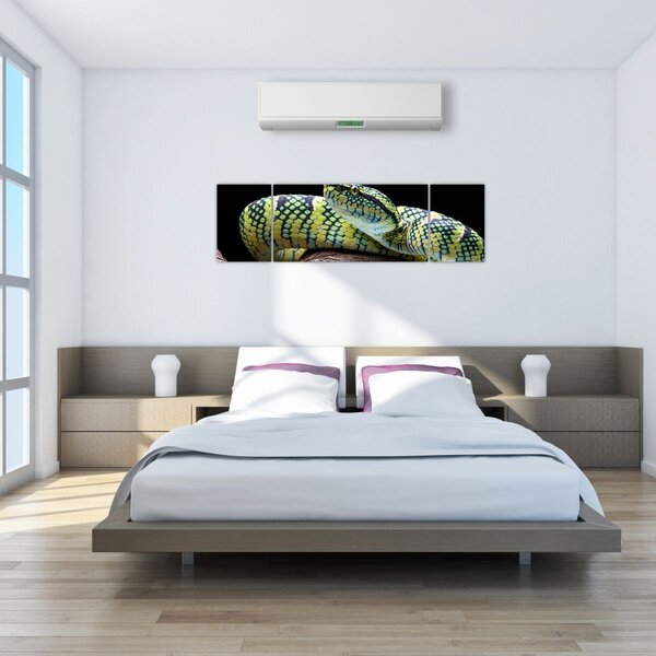 Obraz - Grzechotnik Waglera (170x50 cm)