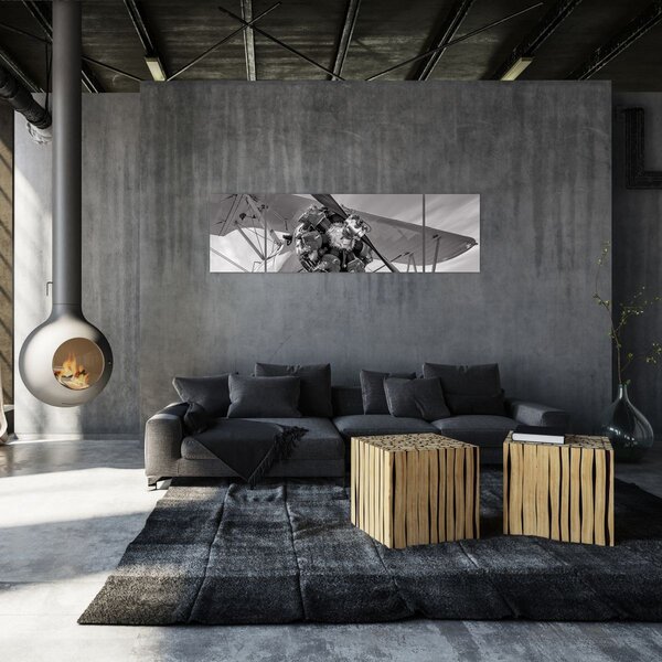 Obraz - Samolot (170x50 cm)