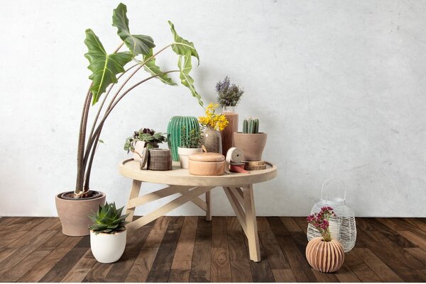 Stolik z drewna mindi Kave Home Thais, ø 80 cm