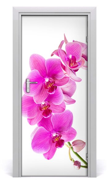 Naklejka samoprzylepna okleina Różowa orchidea