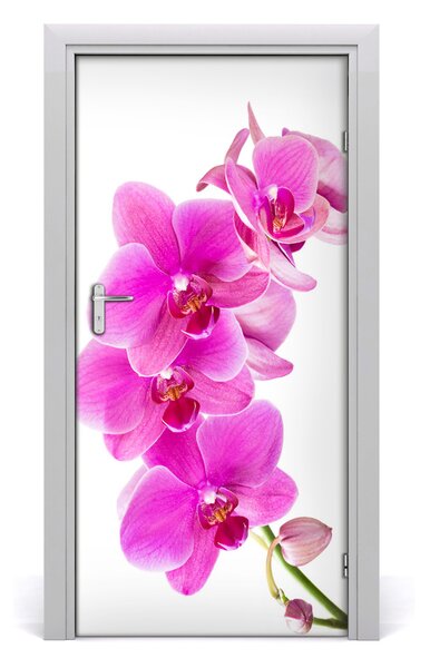 Naklejka samoprzylepna okleina Różowa orchidea