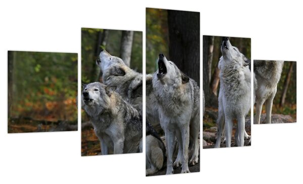 Obraz - Wilki na skale (125x70 cm)