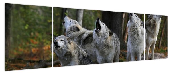 Obraz - Wilki na skale (170x50 cm)