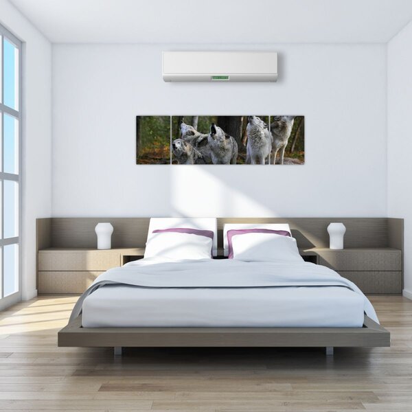Obraz - Wilki na skale (170x50 cm)