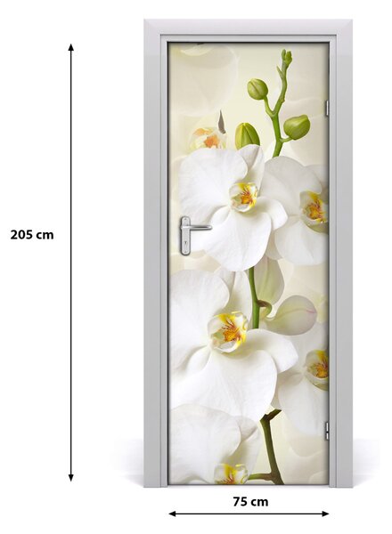 Nalepka Naklejka fototapeta na drzwi Biała orchidea