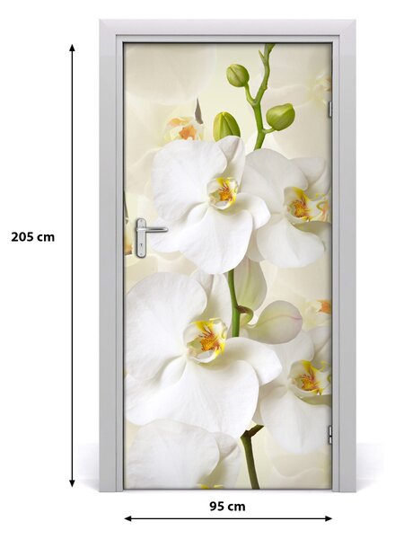 Nalepka Naklejka fototapeta na drzwi Biała orchidea