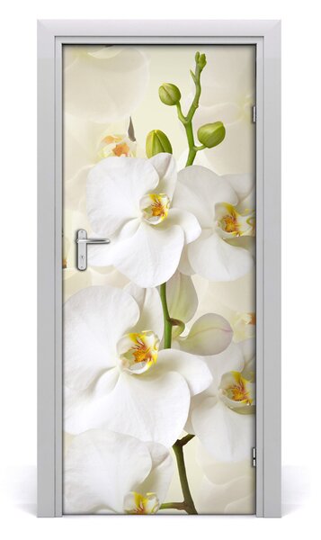 Nalepka Naklejka fototapeta na drzwi Biała orchidea