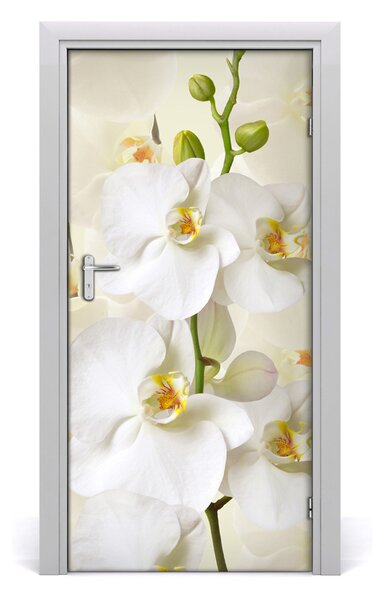 Nalepka Naklejka fototapeta na drzwi Biała orchidea