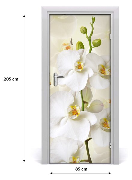 Nalepka Naklejka fototapeta na drzwi Biała orchidea