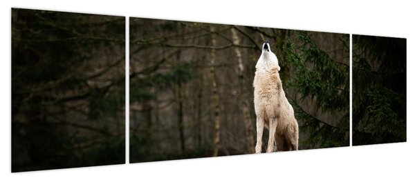 Obraz - Wycie wilka (170x50 cm)