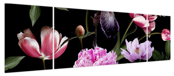 Obraz - Ilustracja kwiatów (170x50 cm)
