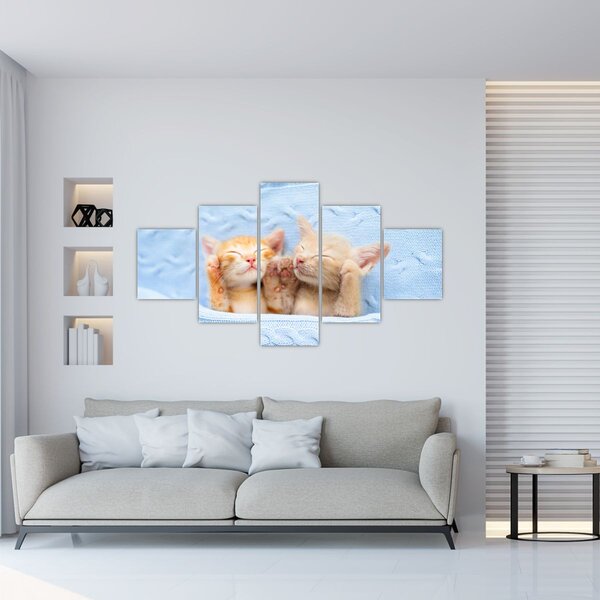 Obraz - Śpiące kocięta (125x70 cm)