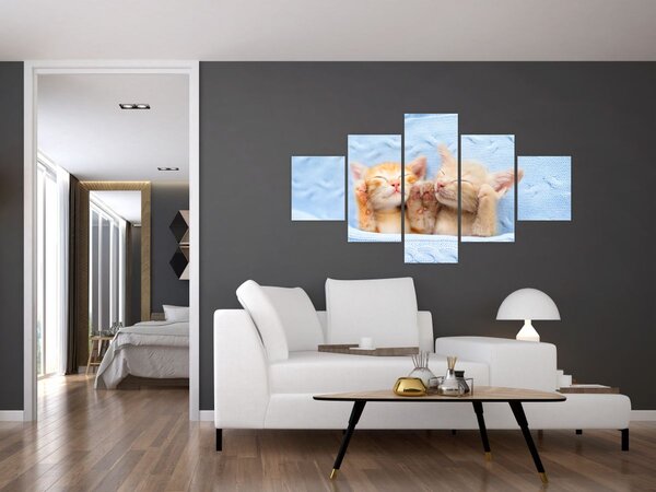 Obraz - Śpiące kocięta (125x70 cm)