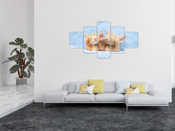 Obraz - Śpiące kocięta (125x70 cm)