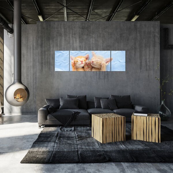 Obraz - Śpiące kocięta (170x50 cm)