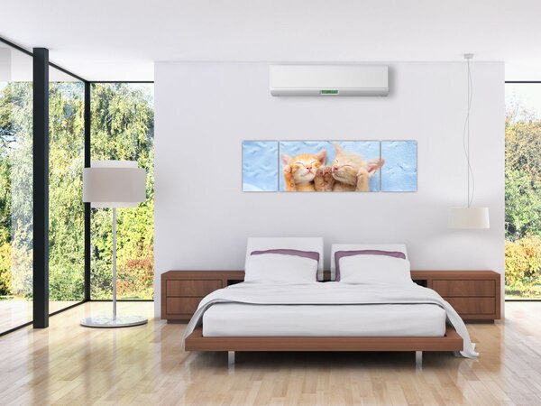 Obraz - Śpiące kocięta (170x50 cm)