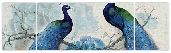 Obraz - Pawie tekstury (170x50 cm)