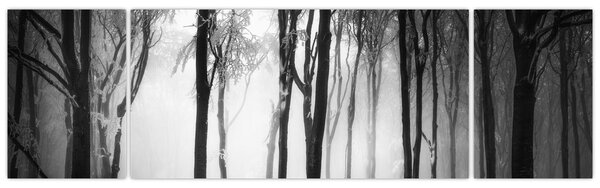 Obraz - Wilk w ciemnym lesie (170x50 cm)