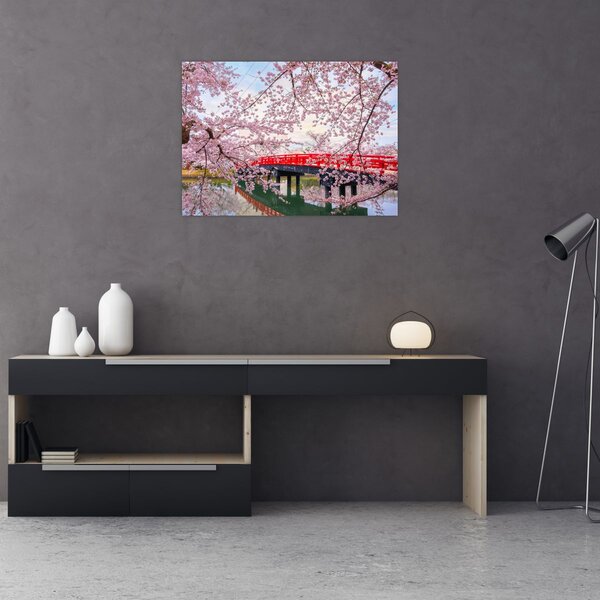 Obraz - Hirosaki, Japonia (70x50 cm)