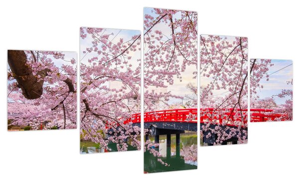 Obraz - Hirosaki, Japonia (125x70 cm)