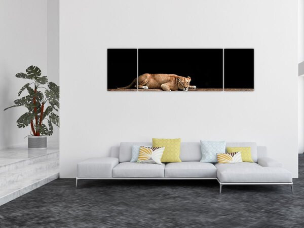 Obraz - Lwica (170x50 cm)