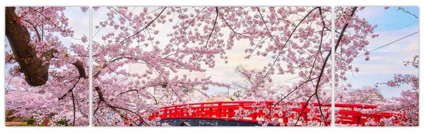 Obraz - Hirosaki, Japonia (170x50 cm)