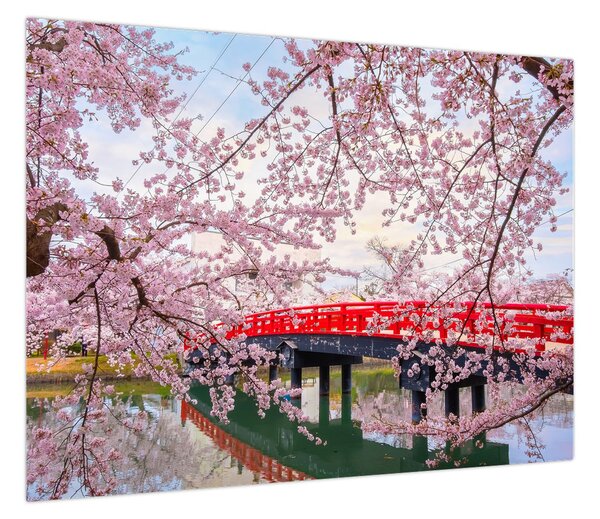 Obraz - Hirosaki, Japonia (70x50 cm)