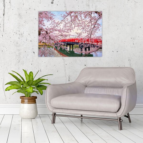 Obraz - Hirosaki, Japonia (70x50 cm)