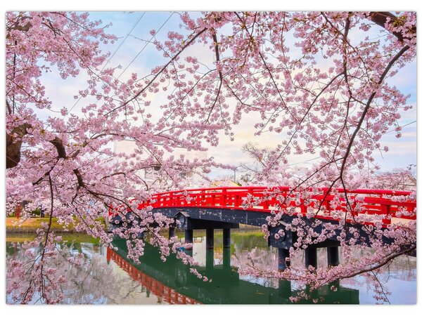 Obraz - Hirosaki, Japonia (70x50 cm)