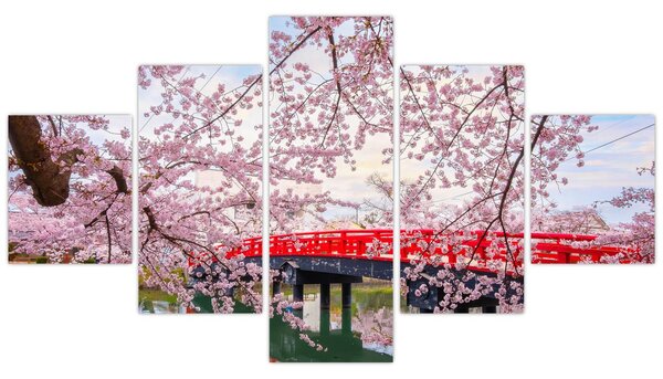 Obraz - Hirosaki, Japonia (125x70 cm)