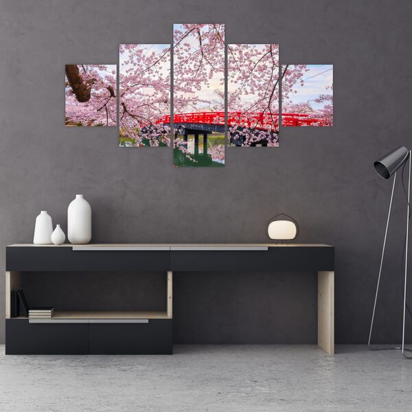 Obraz - Hirosaki, Japonia (125x70 cm)