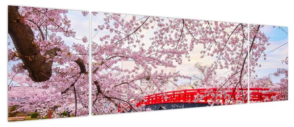 Obraz - Hirosaki, Japonia (170x50 cm)