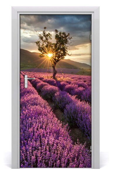 Naklejka fototapeta na drzwi Pole lawendy