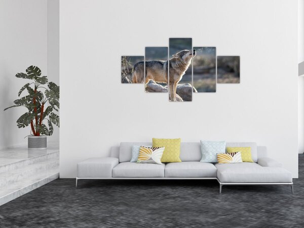 Obraz - Wyjący Wilk (125x70 cm)