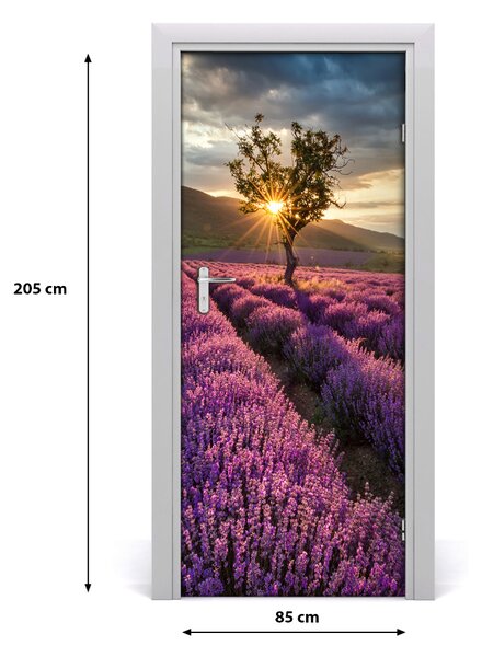 Naklejka fototapeta na drzwi Pole lawendy