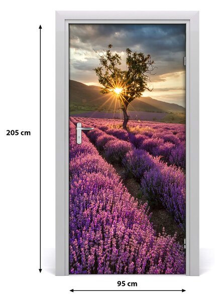 Naklejka fototapeta na drzwi Pole lawendy