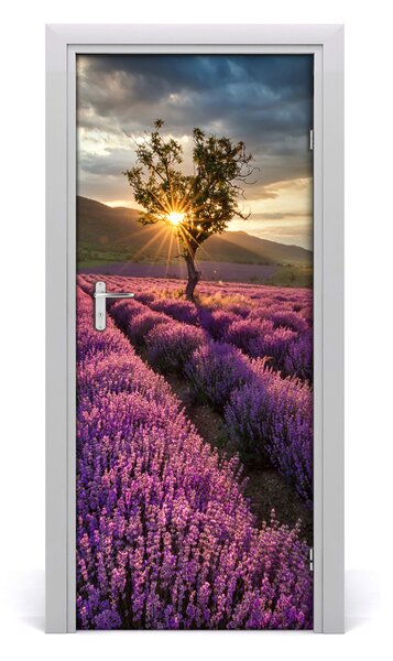 Naklejka fototapeta na drzwi Pole lawendy