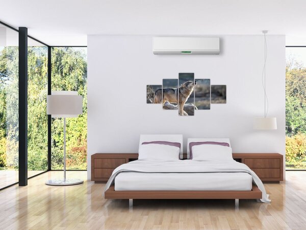 Obraz - Wyjący Wilk (125x70 cm)