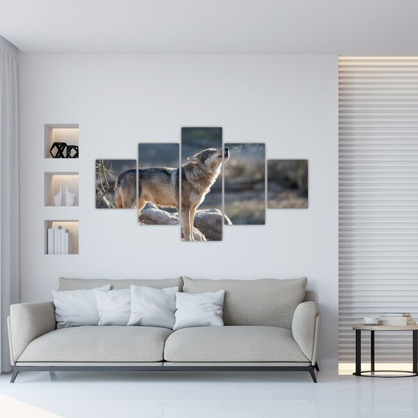 Obraz - Wyjący Wilk (125x70 cm)