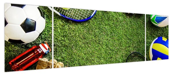 Obraz - Sport (170x50 cm)