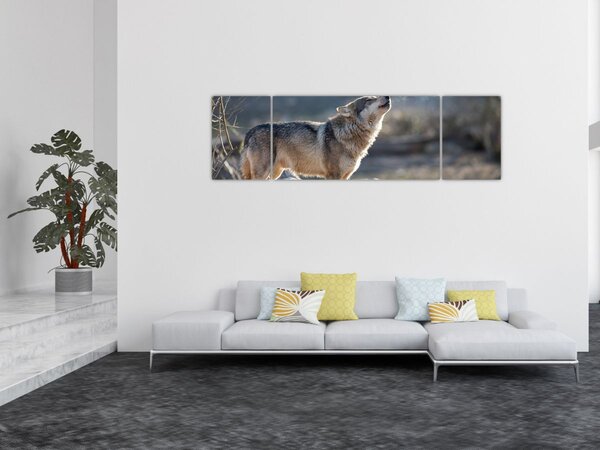 Obraz - Wyjący Wilk (170x50 cm)